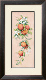 Buy Oranges at AllPosters.com