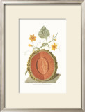 Buy Melon at AllPosters.com