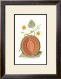 Buy Melon at AllPosters.com