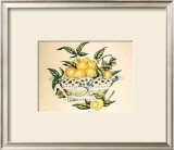 Lemons in a Porcelain Basket