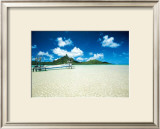 Buy Langoonarium at AllPosters.com