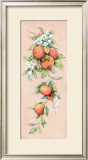 Buy Oranges at AllPosters.com