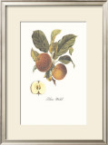 Buy Apple, Blanc-Michel at AllPosters.com