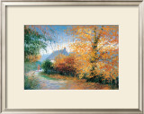 Buy Autumn at Pen-Y-Bont-Fawr at AllPosters.com