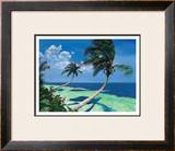 Beckoning Palms