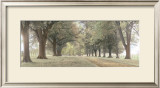 Buy Avenue of Trees at AllPosters.com