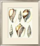 Buy Of Sea and Shore V at AllPosters.com