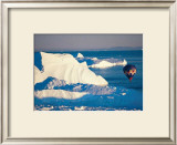 Buy Illulissat Groenland at AllPosters.com