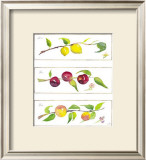 Buy Summer Branches at AllPosters.com
