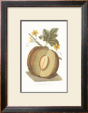 Buy Melon at AllPosters.com