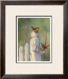 Buy Wrens on Fence Post at AllPosters.com