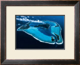 Buy Polynesie at AllPosters.com