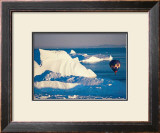 Buy Illulissat Groenland at AllPosters.com