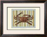 Seashore Crab