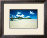 Buy Langoonarium at AllPosters.com