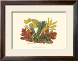 Buy White Oak, Balsam Fir, and Yew Birch at AllPosters.com
