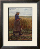 Summer Harvest Framed Art Print