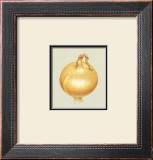 Onion