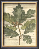 Buy Weathered Oak Leaves I at AllPosters.com
