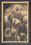 Tinted Tulips I Framed Art Print