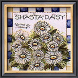 Shasta Daisy