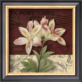 Buy Postcard Lily at AllPosters.com