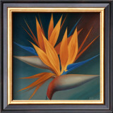 Buy Bird of Paradise II at AllPosters.com