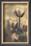 Tinted Tulips III Framed Art Print
