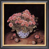 Buy Primroses at AllPosters.com