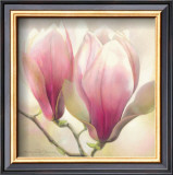 Buy Magnolia Nigra at AllPosters.com