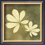 Buy Horse Chestnut Leaf at AllPosters.com