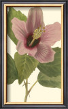 Buy Hibiscus I at AllPosters.com