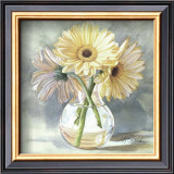 Buy Lemon Sherbert Gerbera at AllPosters.com
