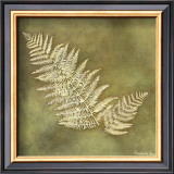 Buy Organic Fern at AllPosters.com