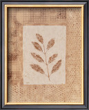 Buy Autumn Texture II at AllPosters.com