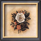 Buy Antique Rose I at AllPosters.com