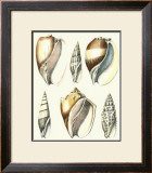 Buy Of Sea and Shore V at AllPosters.com