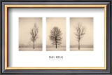 Winterscapes