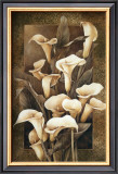 Buy Golden Calla Lilies at AllPosters.com