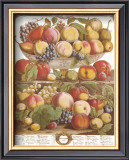 Twelve Months of Fruits, 1732, September