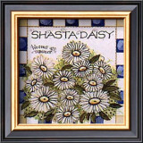 Buy Shasta Daisy at AllPosters.com