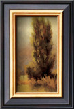 Buy Soft Morning Light at AllPosters.com