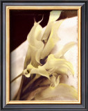 Calla Lilies Detail