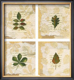 Buy Nature's Gift I at AllPosters.com