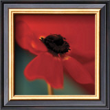 Buy Red on Turquoise at AllPosters.com
