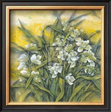 Buy White Orchids at AllPosters.com