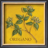 Oregano