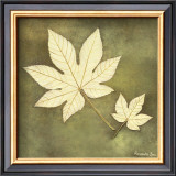 Buy Maple Leaf at AllPosters.com