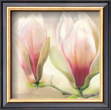 Buy Magnolia Soulangiana at AllPosters.com