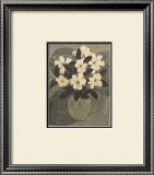Magnolias